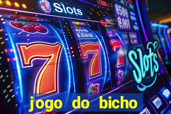 jogo do bicho documentario globoplay